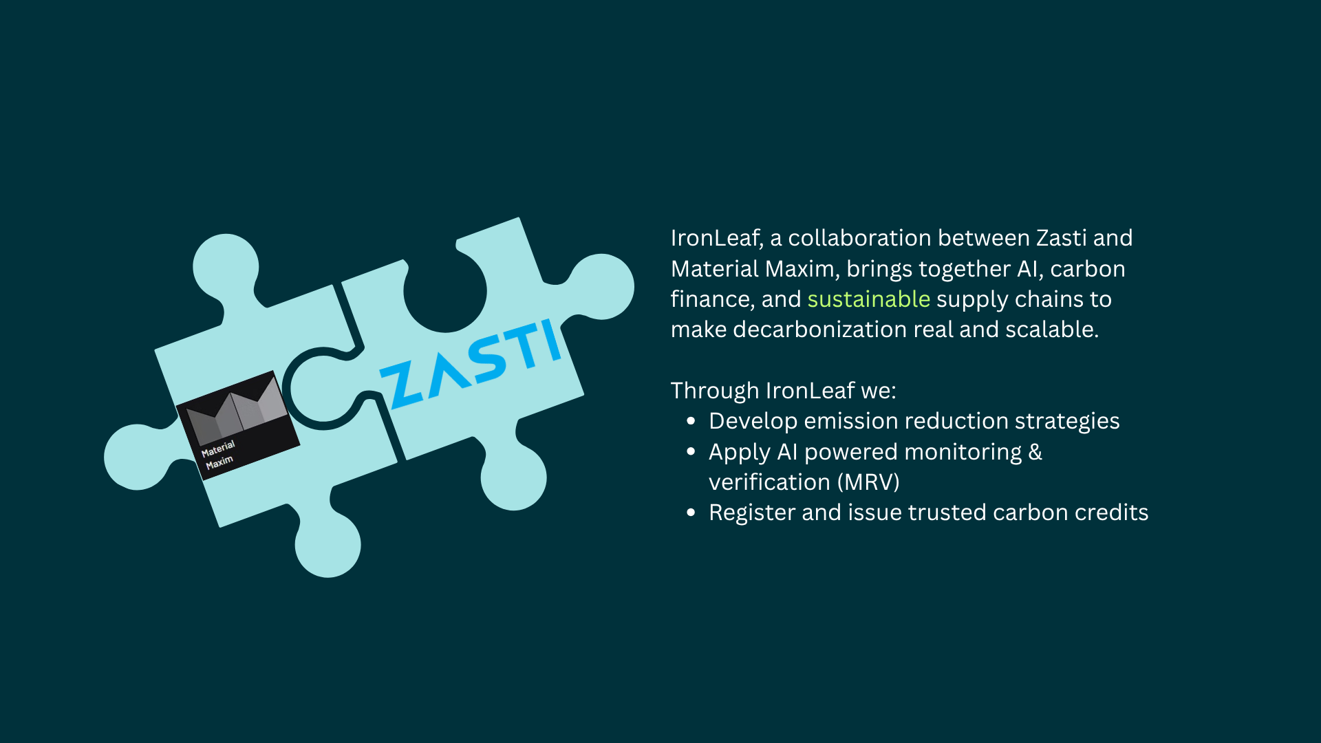 IronLeaf Website 4
